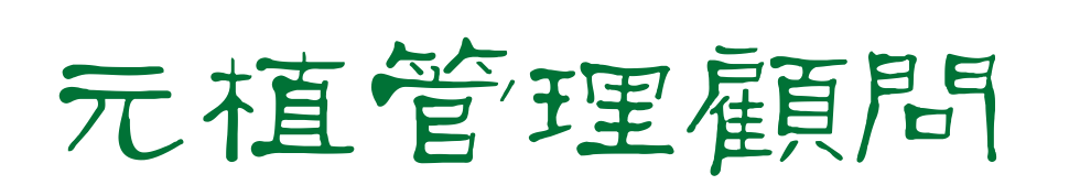 My Website